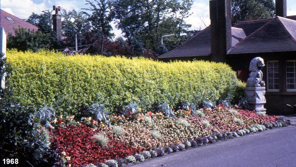 Slide9